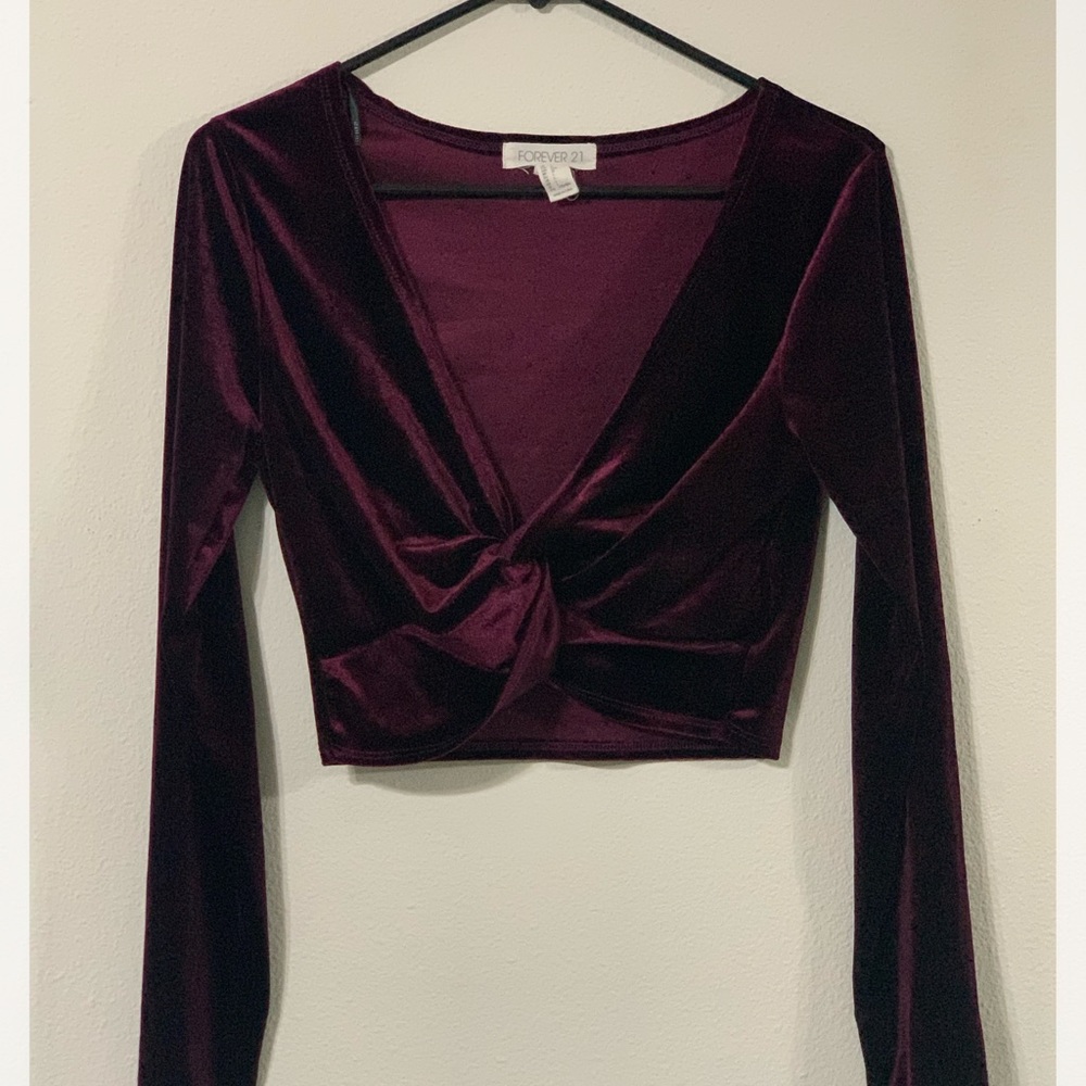 Velvet Long sleeve Crop top